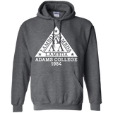 Tri-Lambda College Pullover Hoodie